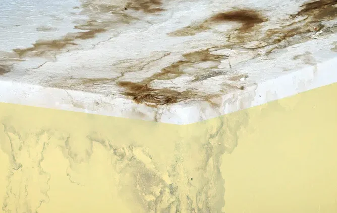 Ceiling Leak Repair Egg Harbor City NJ